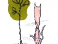 Larga espera